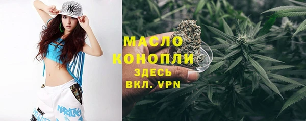 дмт Гусь-Хрустальный