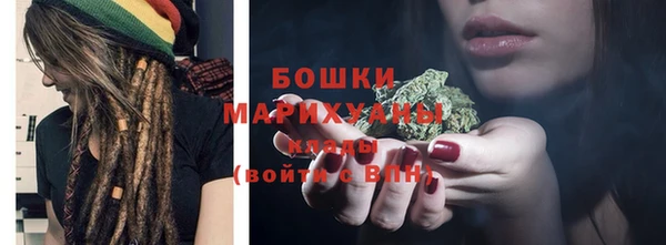 скорость Гусев