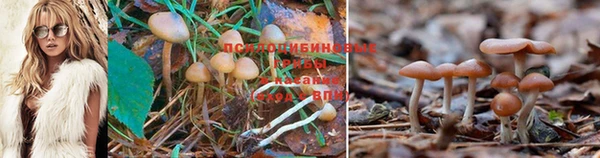 кристаллы Гусиноозёрск