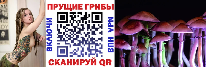 Псилоцибиновые грибы MAGIC MUSHROOMS  где продают   Северобайкальск 