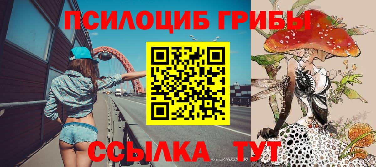 Северобайкальск  наркота  Вход с VPN  Псилоцибиновые грибы Magic Shrooms 