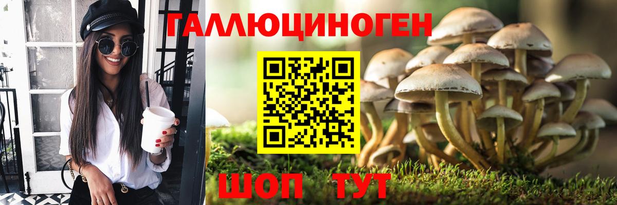 Псилоцибиновые грибы GOLDEN TEACHER Северобайкальск