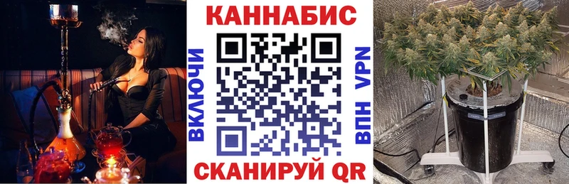 Бошки марихуана SATIVA & INDICA Северобайкальск